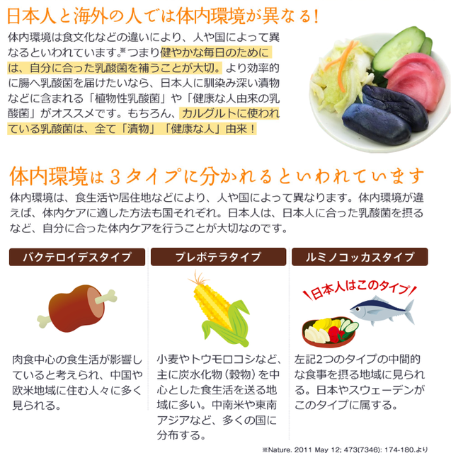 由来.png